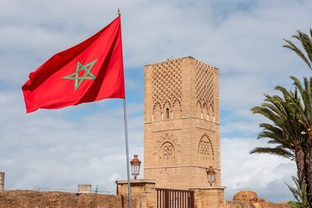 New Requirements for Prevention of Bedbug Infestation in Morocco