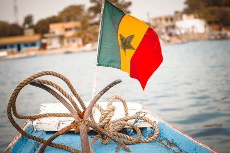 Customs Fines in Senegal