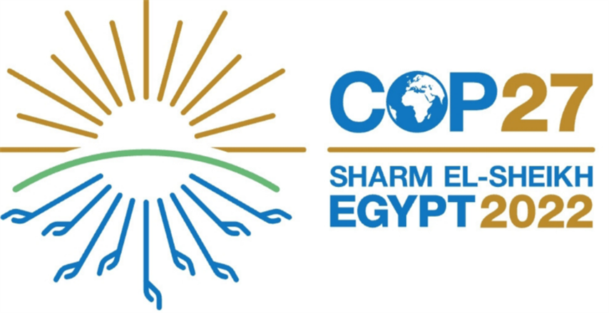 COP 27 logo 2