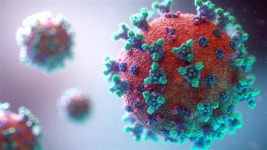 Visualization Of The Covid-19 Virus
