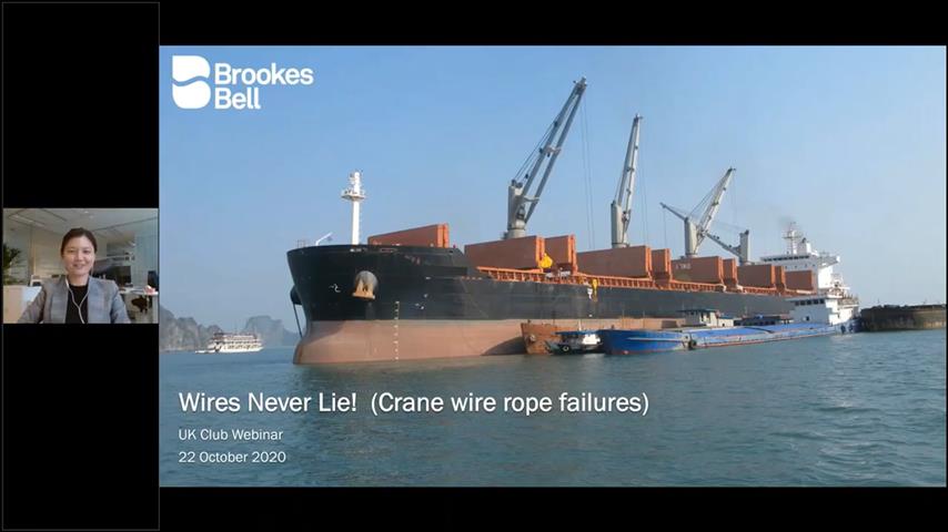 Ask an Expert Crane Wire Failure Kim Chua